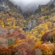 fotoreis Herfst in Auvergne - ©Aart Blom