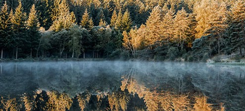 fotoreis Herfst in Auvergne - ©Marjan Versluijs