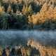 fotoreis Herfst in Auvergne - ©Marjan Versluijs