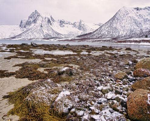 Fotoreis Aurora & Landscape Lofoten - ©Job Klijnstra