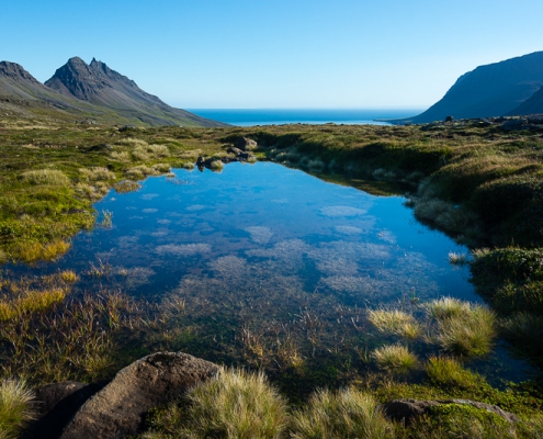 fotoreis Westfjorden - IJsland - ©Stefaan Declercq