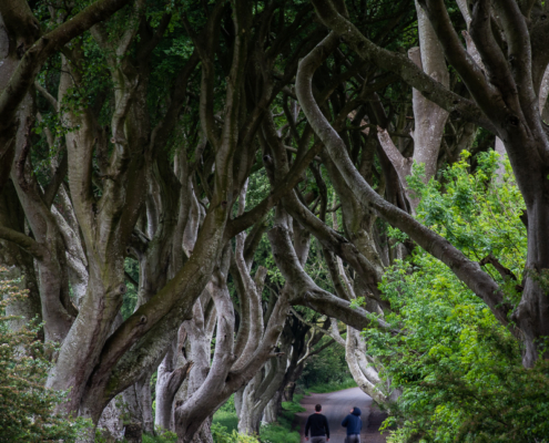 Fotoreis Noord-Ierland - ©Janine Diekmeijer