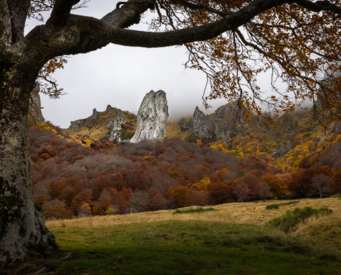fotoreis Herfst in Auvergne - ©Richard Paas
