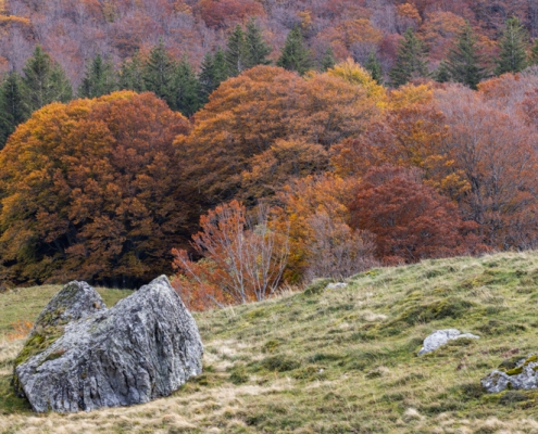 fotoreis Herfst in Auvergne - ©Lucie Kapitein