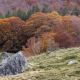 fotoreis Herfst in Auvergne - ©Lucie Kapitein