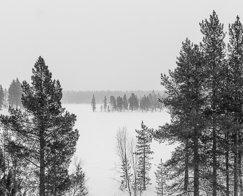 Masterclass Beeldverhaal Finland - ©Timo Bergenhenegouwen