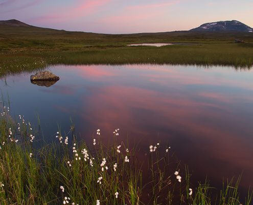 fotoreis Varanger Noorwegen - ©Smitinbeeld