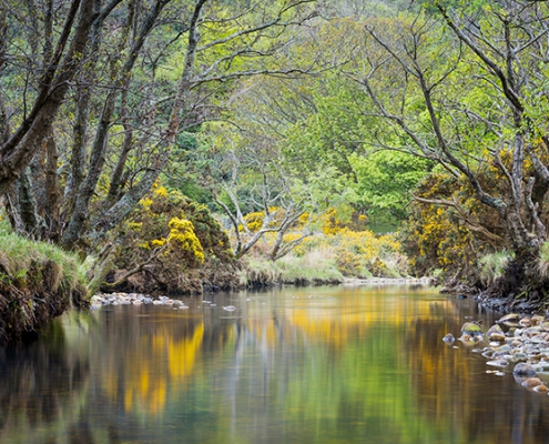 Fotoreis Isle of Arran - Schotland - ©Henno Drop