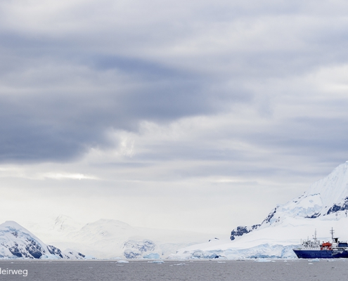 ©Bart Heirweg - expeditie Antarctica South-Georgia & Falklands