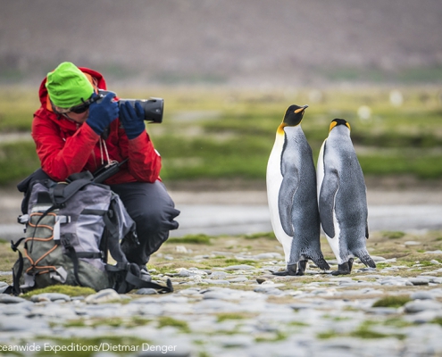 ©Oceanwide Expeditions - Dietmar Denger expeditie Antarctica South-Georgia & Falklands